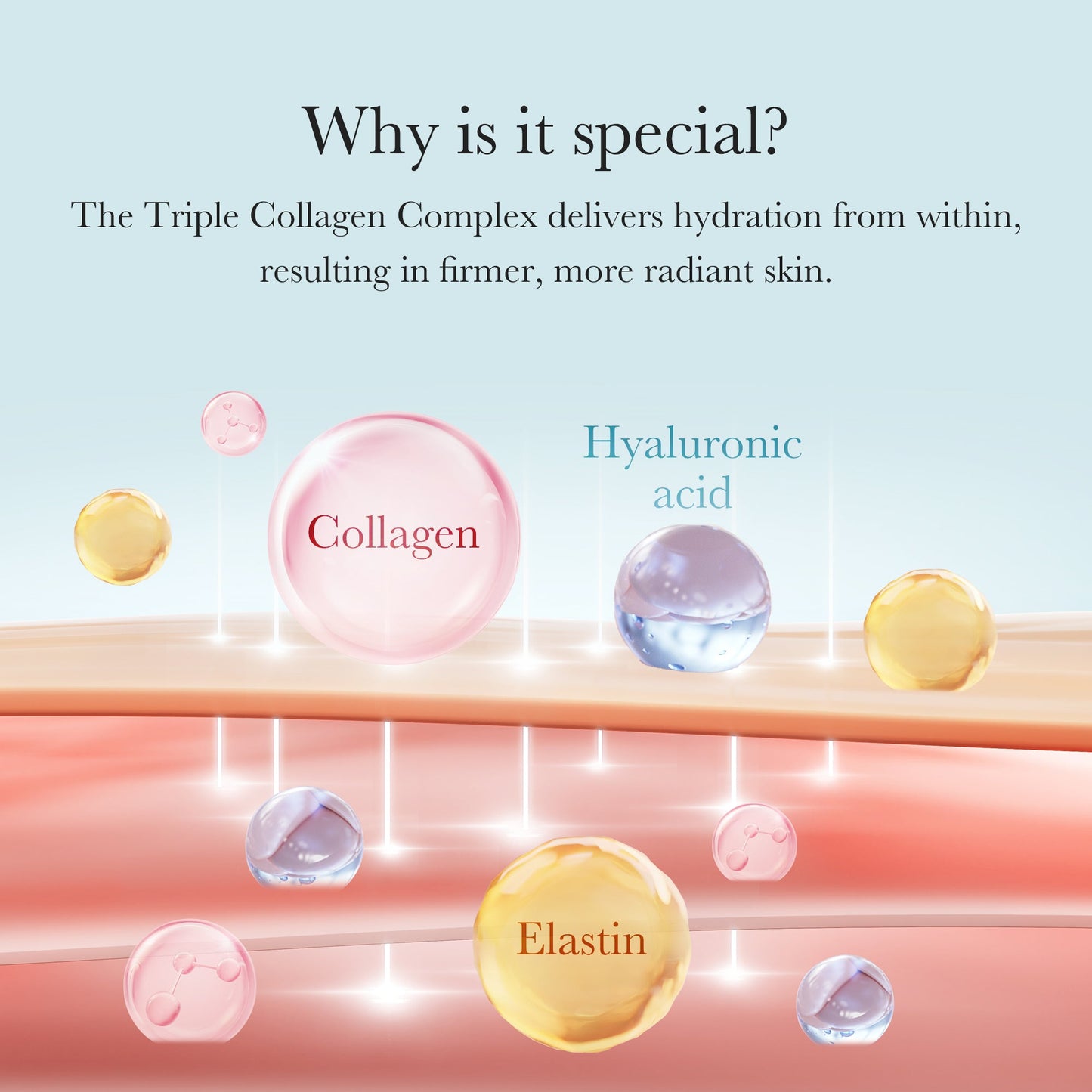 triple-collagen-cream-x1 04_8e4e330d-7d9c-4ff0-93ec-ea541093220c.jpg